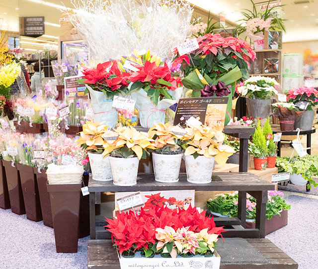 委託販売 スーパーマーケット 花屋にお届けする京都の花卸業クレバー