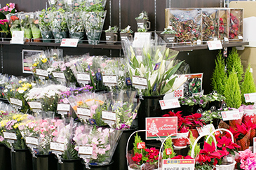 委託販売 スーパーマーケット 花屋にお届けする京都の花卸業クレバー
